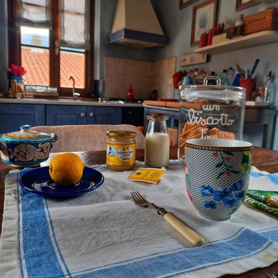 Séjour chez l'habitant La Casa Di Ciaccia Camaiore