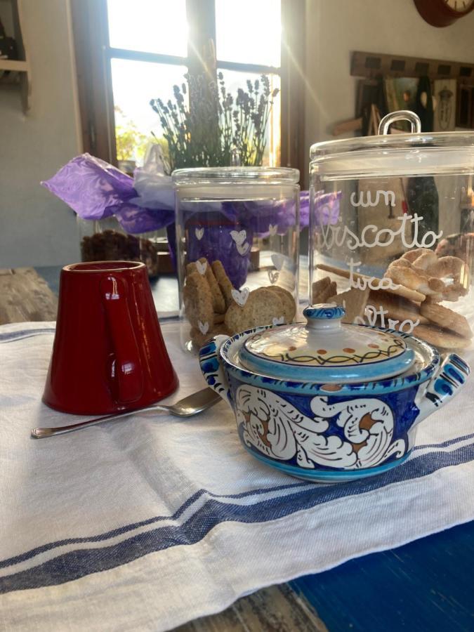 Séjour chez l'habitant La Casa Di Ciaccia *